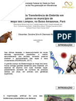 Utilizacão Da Transferência de Embrião em Equinos No Município de Mojuí Dos Campos, No Baixo Amazonas, Pará