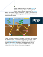 Nitrogen Cycle