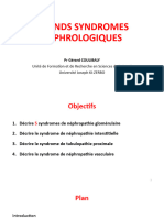 Grands Syndromes Néphrologiques