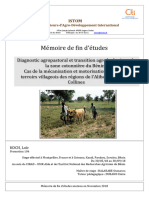 Diagnostic Agropastoral