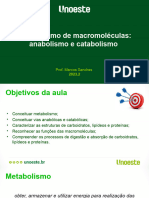 Metabolismo de Macromoléculas: Anabolismo e Catabolismo: Prof. Marcos Sanches