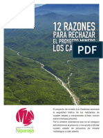 12 Razones para Negar El Proyecto Minero Los Cardones Digital