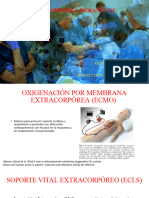 Circulación Extracorpórea Durante El Paro Cardiaco