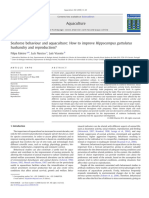 Seahorse Behaviour and Aquaculture: How To Improve Hippocampus Guttulatus Husbandry and Reproduction?