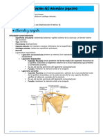 Articulación Del Miembro Superior