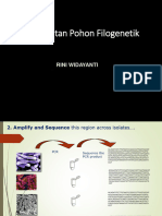 Pembuatan Pohon Filogentik LPPT 2022