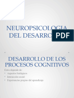 Neuropsicologia Del Desarrollo