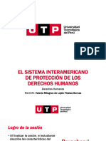 S13.s13 Derechos Humanos