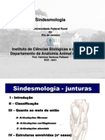 SINDESMOLOGIA