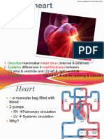 8-4 Heart & Cardiac Cycle