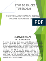 Cultivo de Raices y Tuberosas 2023