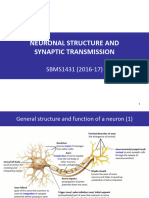 4-Neuron Structure and Synaptic Transmission (2016-17)