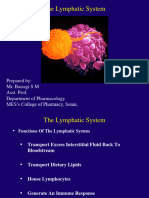 Lymphatic-System Solid