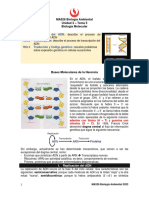 MA526 - S12 - S22 - Lectura - Genética Molecular