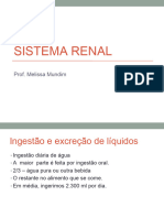 Sistema Renal