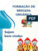 Treinamento Brigada Orgânica 2022