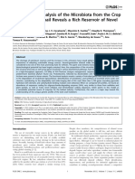 Analisis Metagenomico de La Microbiota de Infector