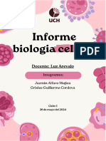 Informe Laboratorio N°3