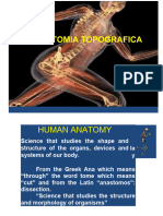 Topographic Anatomy