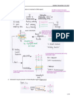 BI552 Notes Exam2