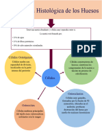 Cordova Guzman Alondra Paulina Tarea2 Osteologia