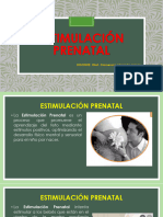 Estimulacion Prenatal