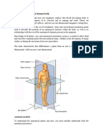 Human Body Plans