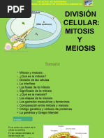 División Celular Mitosis y Meiosis