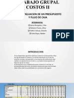 Trabajo Finalcostos Ii-Presupuesto y Flujo de Caja