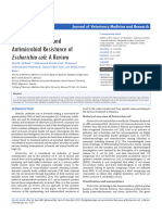 E. Coli Review Manuscript