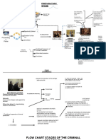 Flow Chart Stages Criminal Process