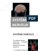 Diapositives Du Système Nerveux