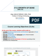 Histology and Growth of The Bone