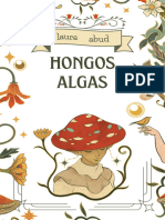 HONGOS