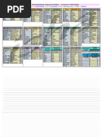 HEALY - IX - PROGRAMAS. Cuadro Resumen Horizontal-maCC