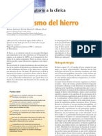 Metabolismo Del Hierro