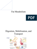 Fatmetabolism