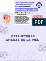 Exposición Anexos de La Piel