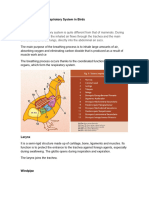 Physiology of The Respiratory System in Birds