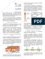 Membrana Plasmática - RESUMO