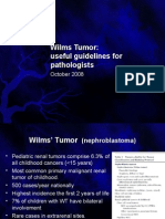 Wilms Tumor Overview