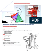 2p2 Patologia Cabeza Cuello