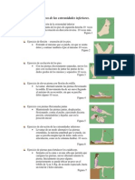 Ejercicios de Las Extremidades Inferiores