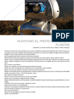 2 Lec Huaychao El Protector de Las Plantas