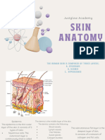 sKIN aNATOMY