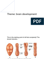 Neuropsych 2