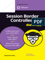 Session Border Controllers For Dummies and More Using AI