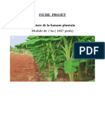 Fiche Projet Banane Plantain