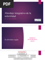 2019 Abordaje Integrativo de La Infertilidad