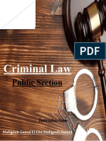 Criminal Law Public Section